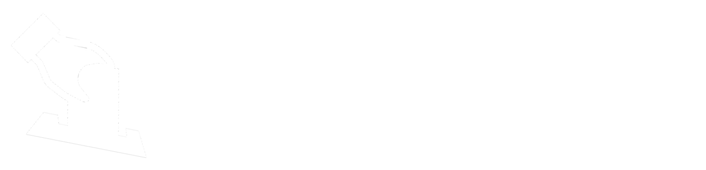 ElectoSense